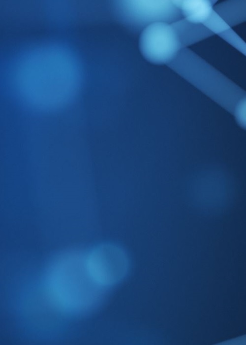 2025 - Relax Pension Schönwald - Nebe I