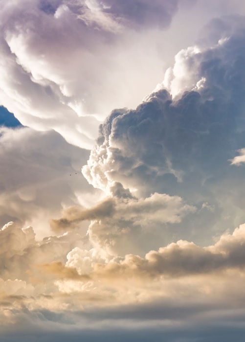 2025 - Relax Pension Schönwald - Nebe